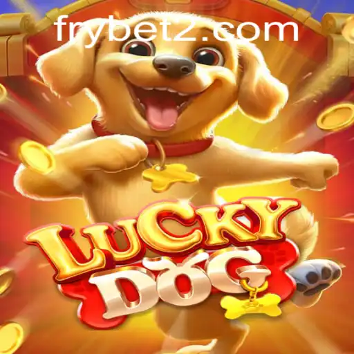 Exploring Luck, Strategy, and Entertainment with LuckyDog and Frybet
